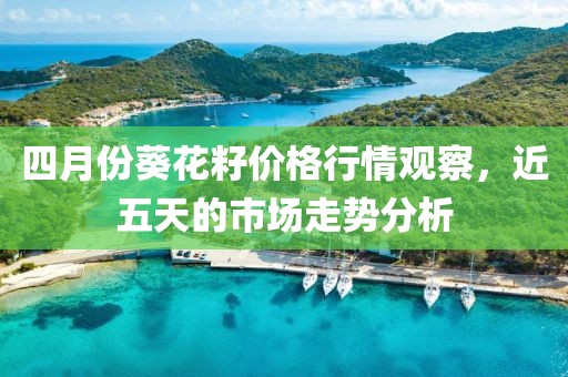 四月份葵花籽價格行情觀察，近五天的市場走勢分析