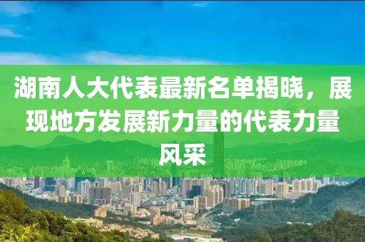 湖南人大代表最新名單揭曉，展現地方發展新力量的代表力量風采