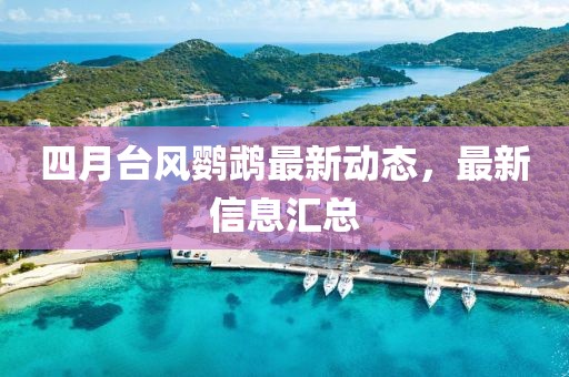 四月臺風鸚鵡最新動態，最新信息匯總