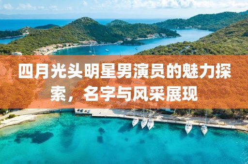 四月光頭明星男演員的魅力探索，名字與風采展現