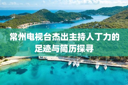 常州電視臺杰出主持人丁力的足跡與簡歷探尋