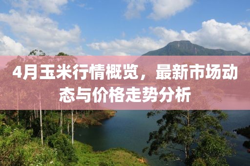 4月玉米行情概覽，最新市場動態與價格走勢分析