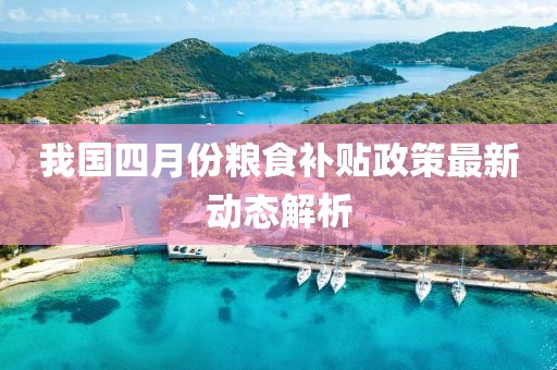 我國四月份糧食補貼政策最新動態解析