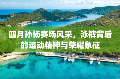 四月孫楊賽場風采，泳褲背后的運動精神與榮耀象征