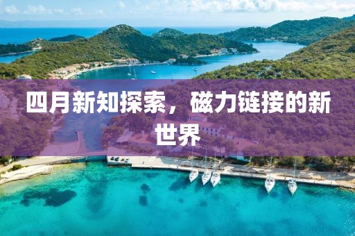 四月新知探索，磁力鏈接的新世界