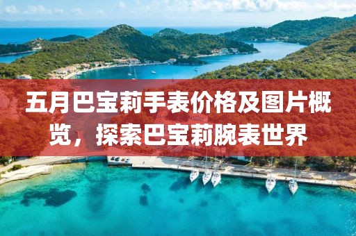 五月巴寶莉手表價格及圖片概覽，探索巴寶莉腕表世界