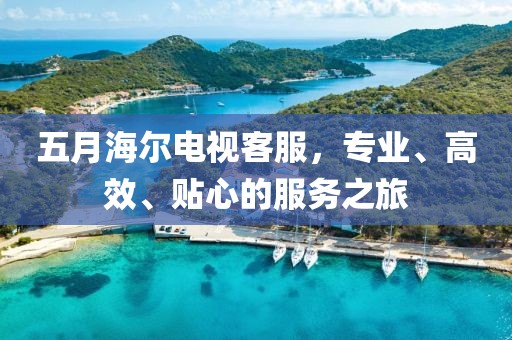 五月海爾電視客服，專業、高效、貼心的服務之旅