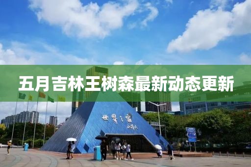 五月吉林王樹森最新動態更新