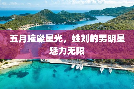 五月璀璨星光，姓劉的男明星魅力無限