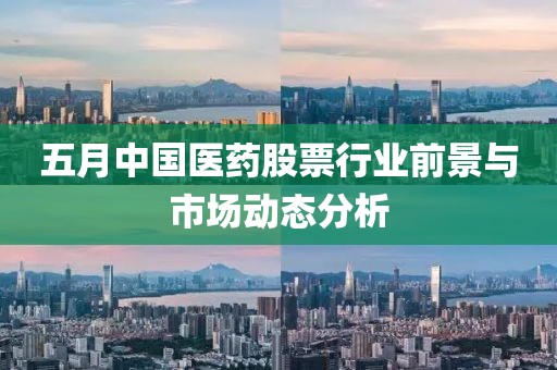 五月中國醫藥股票行業前景與市場動態分析
