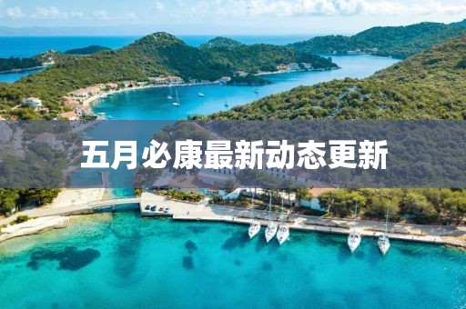 五月必康最新動態更新
