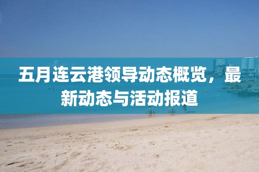 五月連云港領導動態概覽，最新動態與活動報道