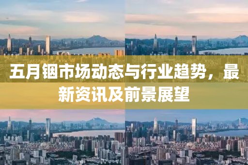 五月銦市場動態與行業趨勢，最新資訊及前景展望