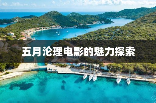 五月淪理電影的魅力探索