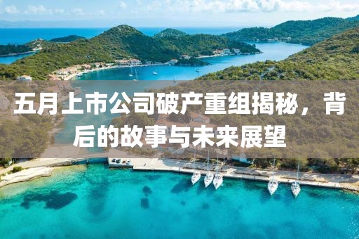 五月上市公司破產重組揭秘，背后的故事與未來展望