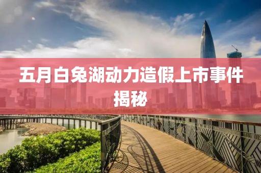 五月白兔湖動力造假上市事件揭秘