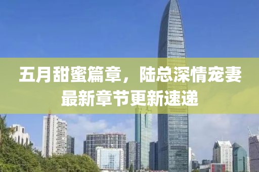 五月甜蜜篇章，陸總深情寵妻最新章節更新速遞