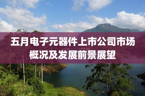 五月電子元器件上市公司市場概況及發展前景展望