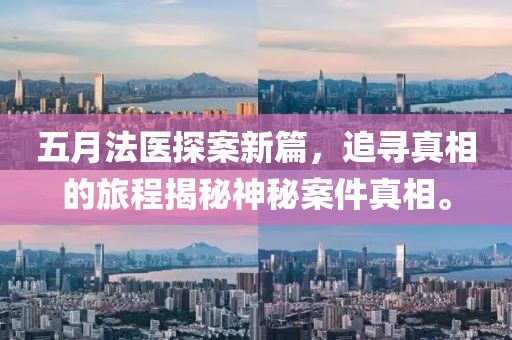 五月法醫探案新篇，追尋真相的旅程揭秘神秘案件真相。