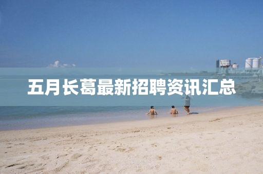 五月長葛最新招聘資訊匯總