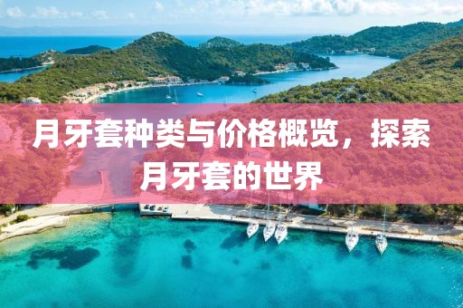 月牙套種類與價格概覽，探索月牙套的世界