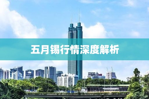 五月錫行情深度解析