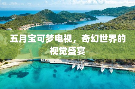 五月寶可夢電視，奇幻世界的視覺盛宴