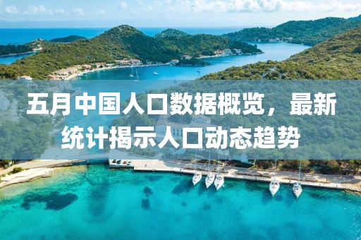 五月中國人口數據概覽，最新統計揭示人口動態趨勢