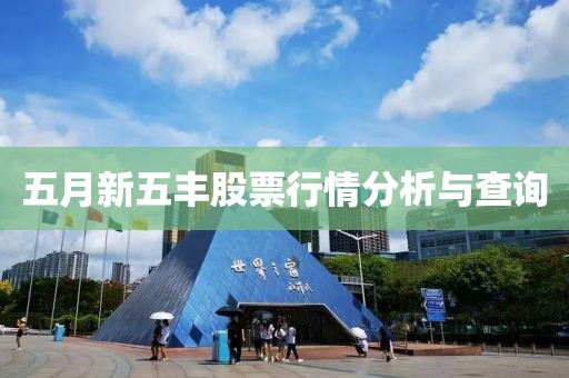 五月新五豐股票行情分析與查詢