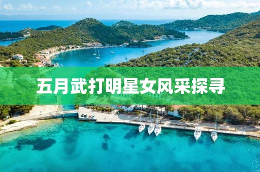 五月武打明星女風采探尋