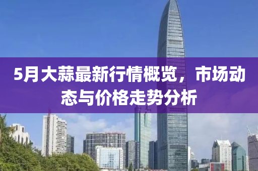 5月大蒜最新行情概覽，市場動態與價格走勢分析