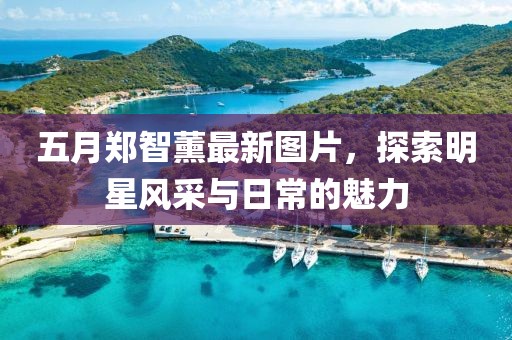 五月鄭智薰最新圖片，探索明星風采與日常的魅力