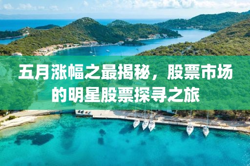 五月漲幅之最揭秘，股票市場的明星股票探尋之旅