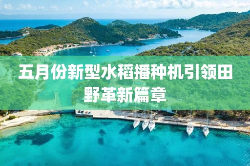 五月份新型水稻播種機引領田野革新篇章
