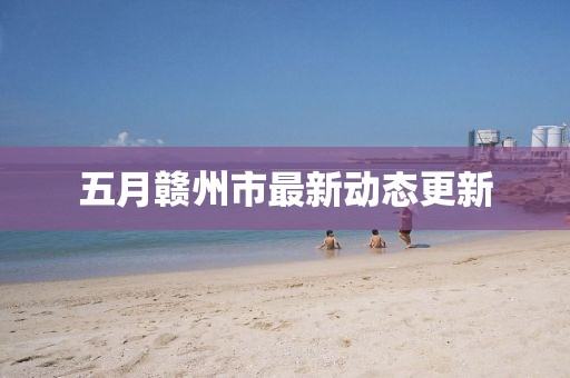 五月贛州市最新動態更新