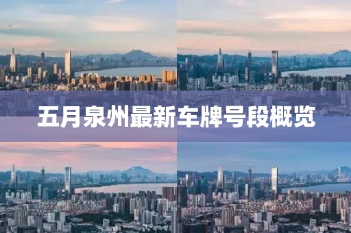 五月泉州最新車牌號段概覽