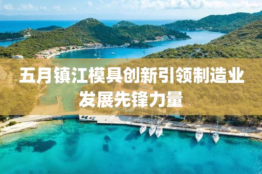 五月鎮江模具創新引領制造業發展先鋒力量