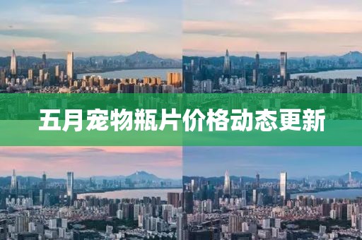 五月寵物瓶片價格動態更新