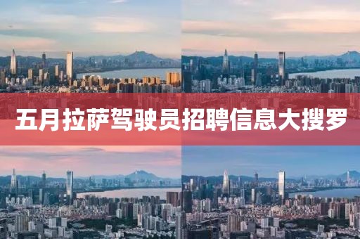 五月拉薩駕駛員招聘信息大搜羅