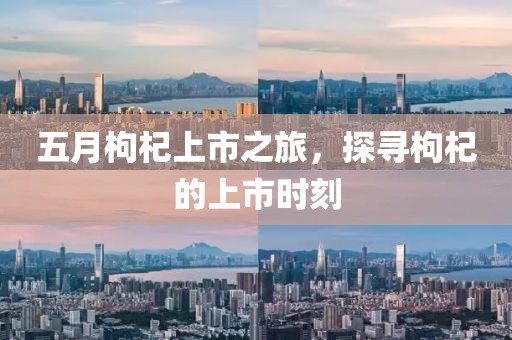 五月枸杞上市之旅，探尋枸杞的上市時刻