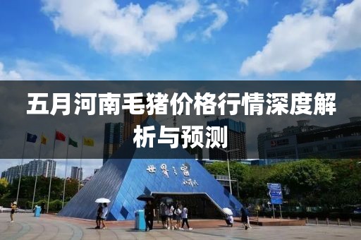 五月河南毛豬價格行情深度解析與預測