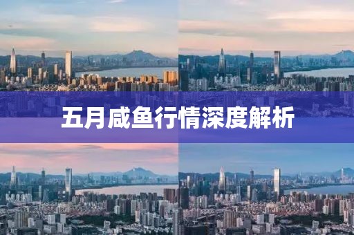 五月咸魚行情深度解析