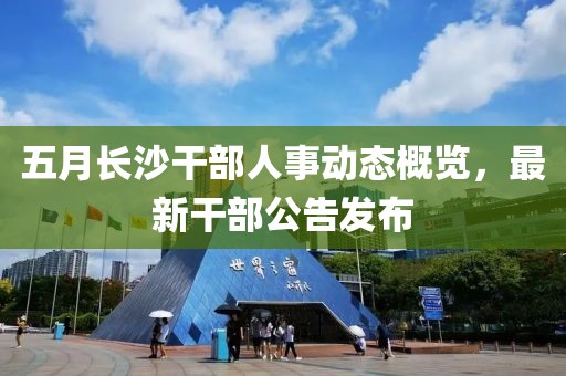 五月長沙干部人事動態概覽，最新干部公告發布