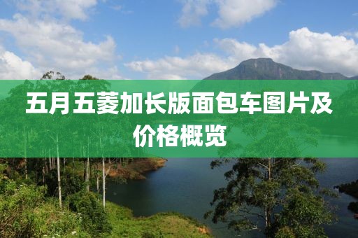 五月五菱加長版面包車圖片及價格概覽