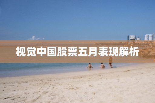 視覺中國股票五月表現解析
