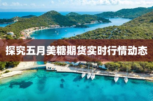 探究五月美糖期貨實時行情動態