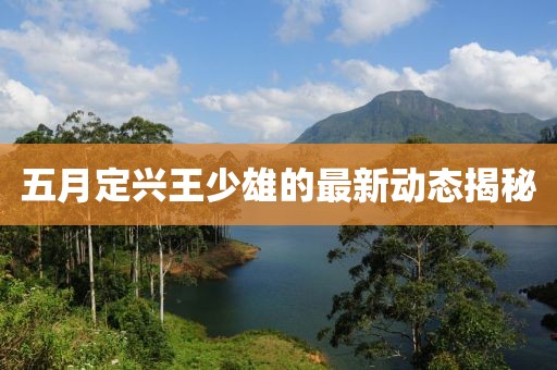 五月定興王少雄的最新動態揭秘