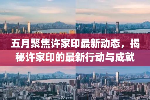 五月聚焦許家印最新動態，揭秘許家印的最新行動與成就