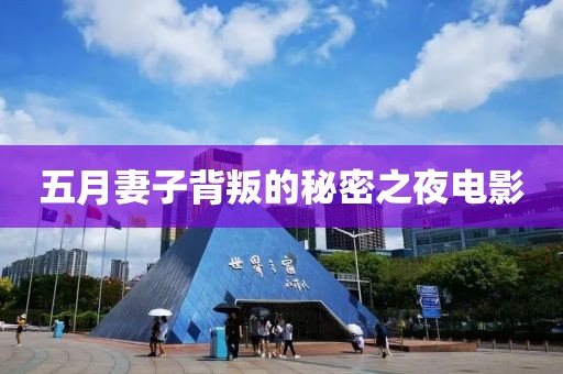 五月妻子背叛的秘密之夜電影