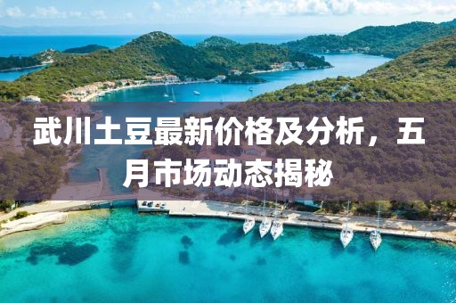 武川土豆最新價格及分析，五月市場動態揭秘